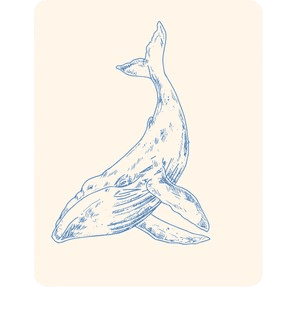 Challenge Card Placeholder